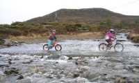 Mjølrakkåe - Høstferien 2007 Foto: Helge Braadland  
