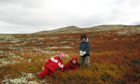 Barnebarn på høstferie på Høvringen Foto: Helge Braadland          